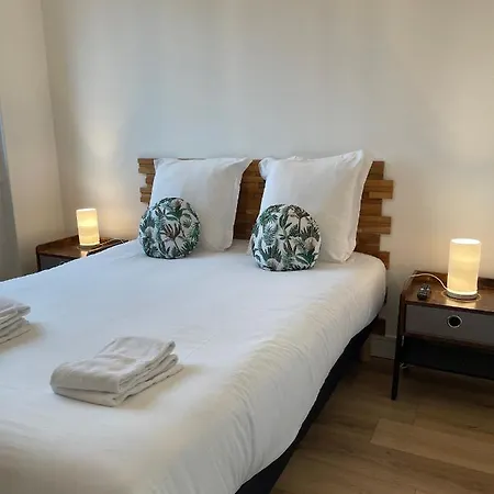 Le Zen - Wifi - Netflix - 3 - Parking דירה *